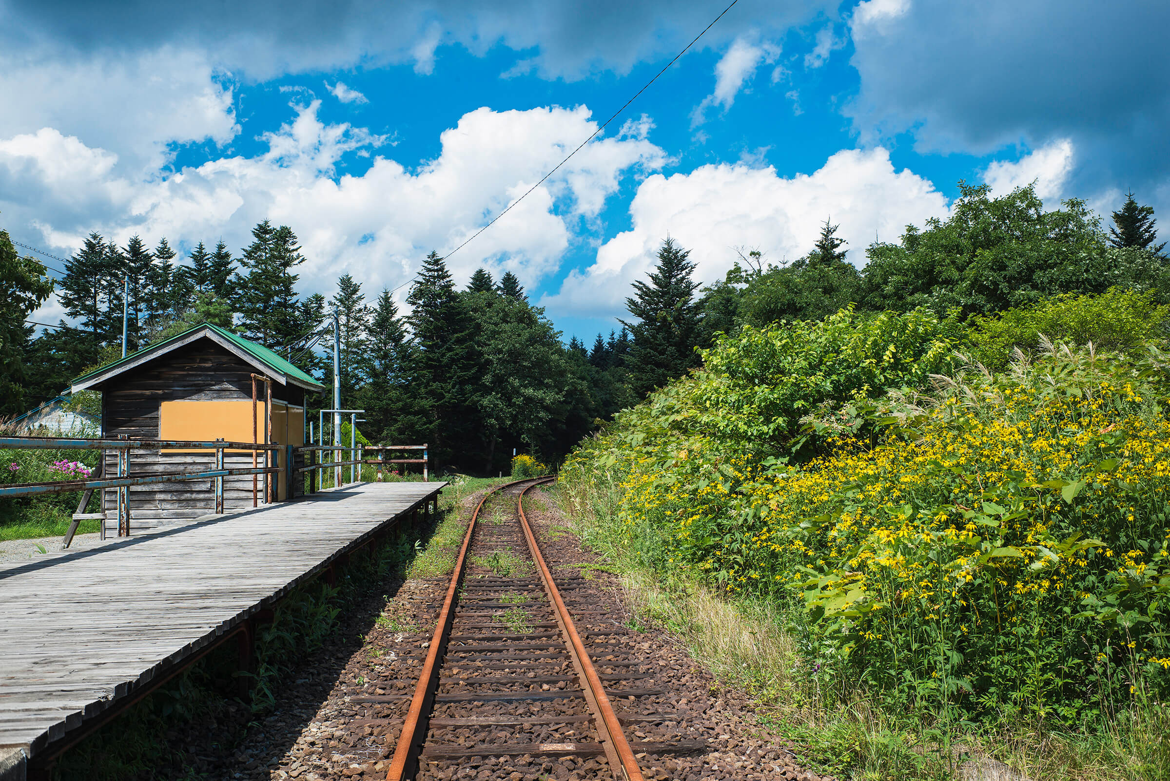 A small and semi-delapidated train station and platform in a sunny forested area.